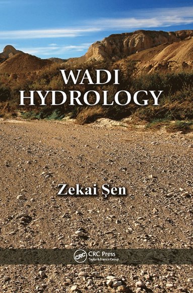 bokomslag Wadi Hydrology