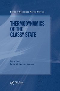 bokomslag Thermodynamics of the Glassy State