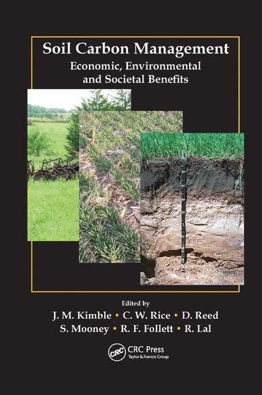 John M. Kimble, Charles W. Rice, Debbie Reed, Sian Mooney, Ronald F. Follett, Rattan Lal - Soil Carbon Management, Häftad