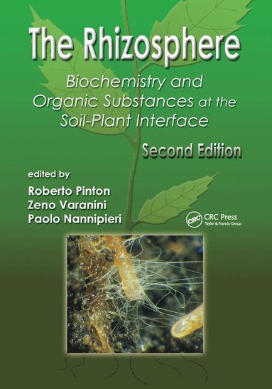 Roberto Pinton, Zeno Varanini, Paolo Nannipieri - Rhizosphere, Häftad