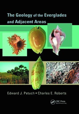 The Geology of the Everglades and Adjacent Areas 1