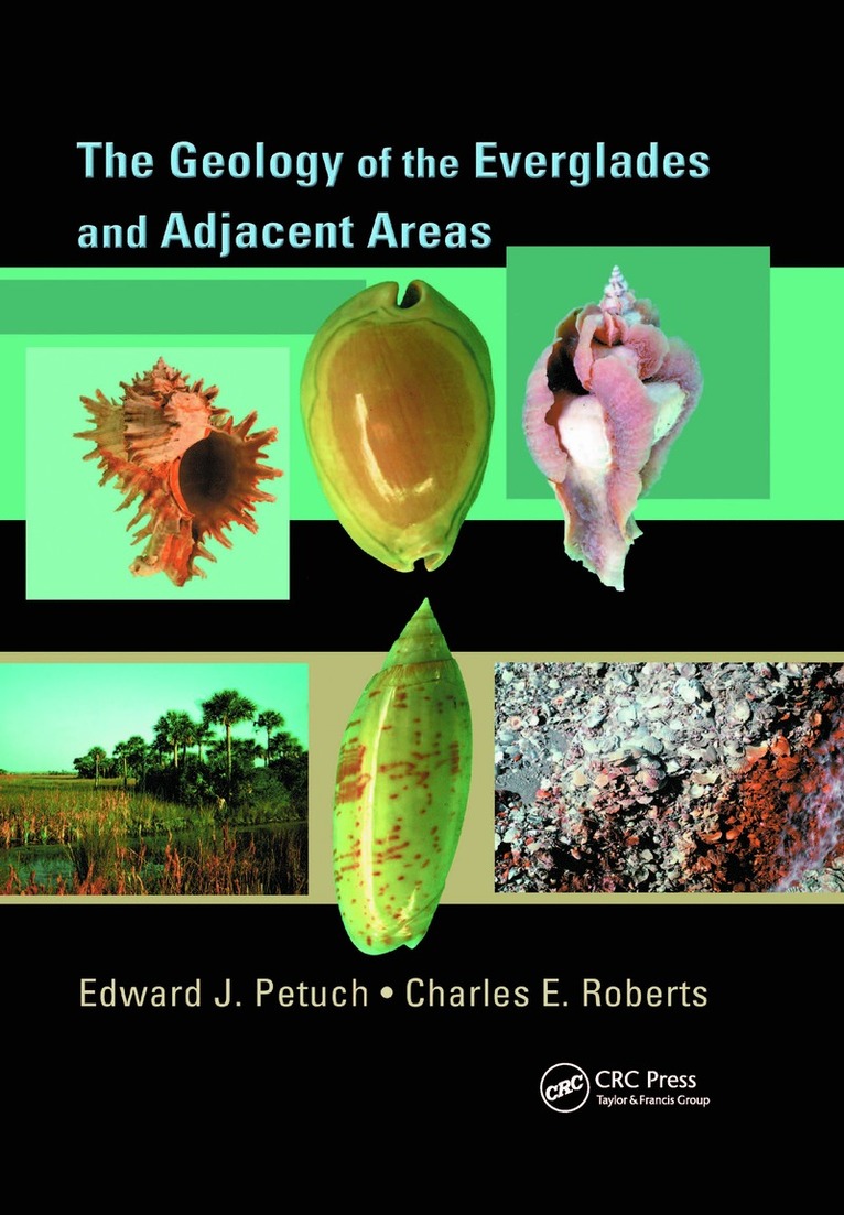 Geology of the Everglades and Adjacent Areas
