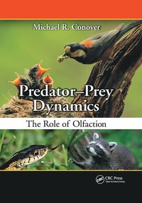 bokomslag Predator-Prey Dynamics