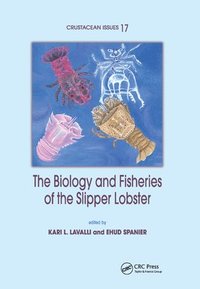 bokomslag The Biology and Fisheries of the Slipper Lobster