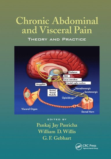 bokomslag Chronic Abdominal and Visceral Pain