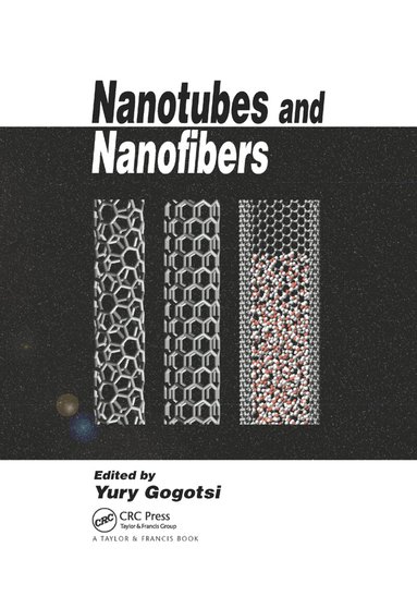 Yury Gogotsi - Nanotubes and Nanofibers, Häftad
