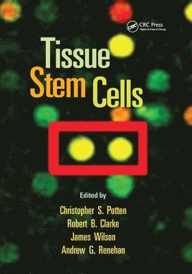 Tissue Stem Cells 1