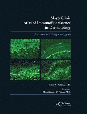 bokomslag Mayo Clinic Atlas of Immunofluorescence in Dermatology
