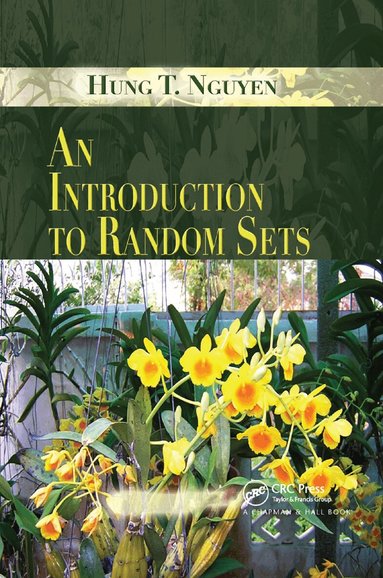 Hung T. Nguyen - Introduction to Random Sets, Häftad
