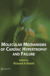 bokomslag Molecular Mechanisms of Cardiac Hypertrophy and Failure