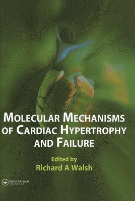 bokomslag Molecular Mechanisms of Cardiac Hypertrophy and Failure