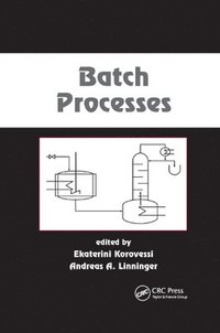 bokomslag Batch Processes