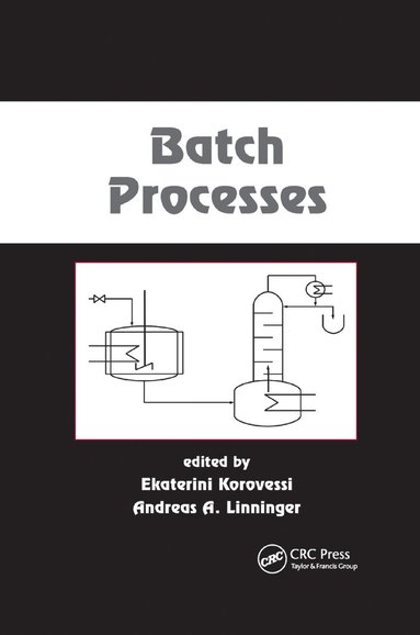 bokomslag Batch Processes