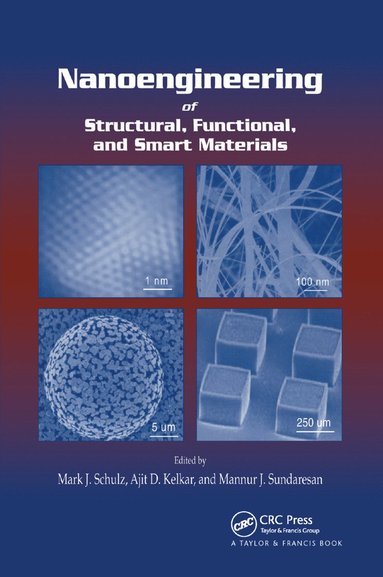 bokomslag Nanoengineering of Structural, Functional and Smart Materials