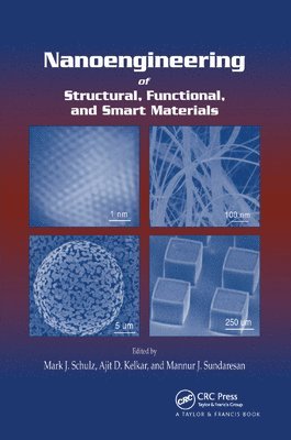 Mark J. Schulz, Ajit D. Kelkar, Mannur J. Sundaresan - Nanoengineering of Structural, Functional and Smart Materials, Häftad