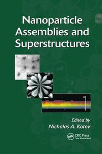 bokomslag Nanoparticle Assemblies and Superstructures