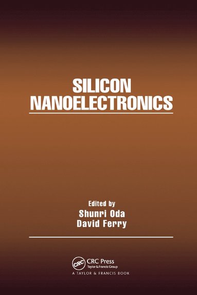 bokomslag Silicon Nanoelectronics