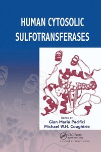 bokomslag Human Cytosolic Sulfotransferases