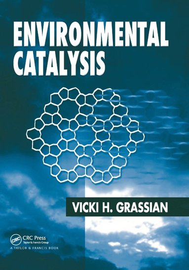 bokomslag Environmental Catalysis