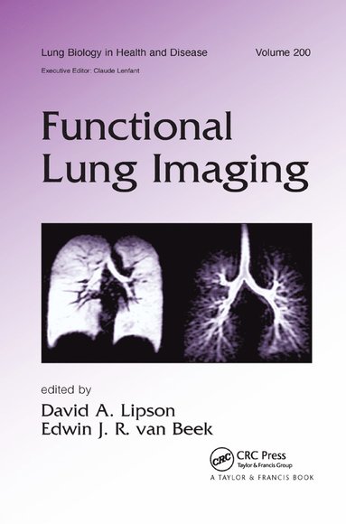 bokomslag Functional Lung Imaging