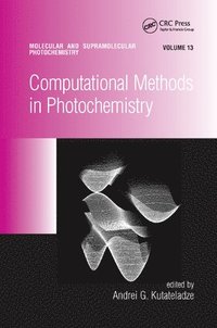 bokomslag Computational Methods in Photochemistry