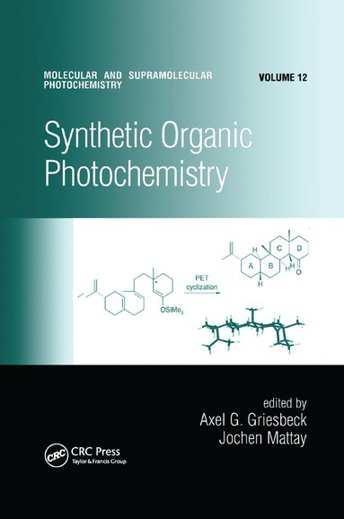 bokomslag Synthetic Organic Photochemistry