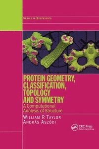 bokomslag Protein Geometry, Classification, Topology and Symmetry