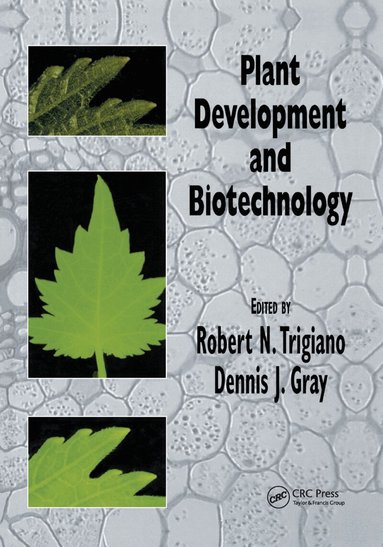 Carol L. Womack, Alice C. Littlejohn, Robert N. Trigiano, Dennis J. Gray - Plant Development and Biotechnology, Häftad