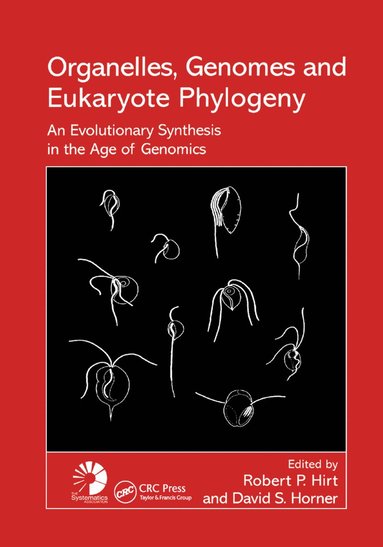 bokomslag Organelles, Genomes and Eukaryote Phylogeny