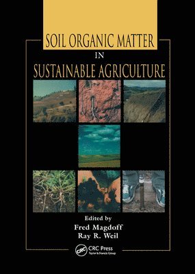 bokomslag Soil Organic Matter in Sustainable Agriculture