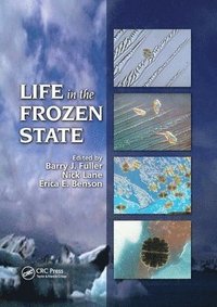 bokomslag Life in the Frozen State