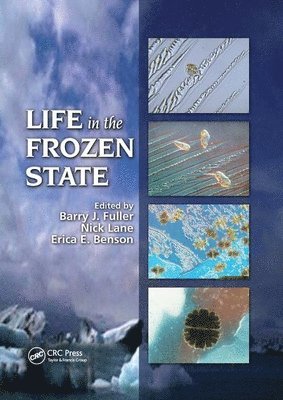 Life in the Frozen State 1