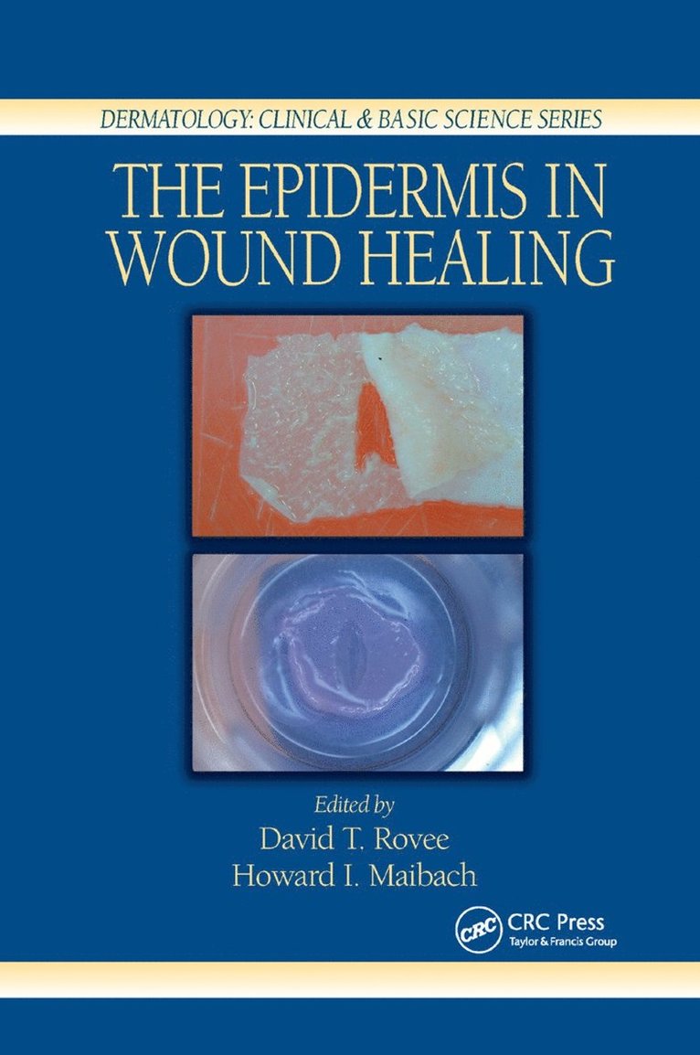 David T. Rovee, Howard I. Maibach - Epidermis in Wound Healing, Häftad