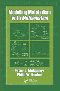 bokomslag Modelling Metabolism with Mathematica