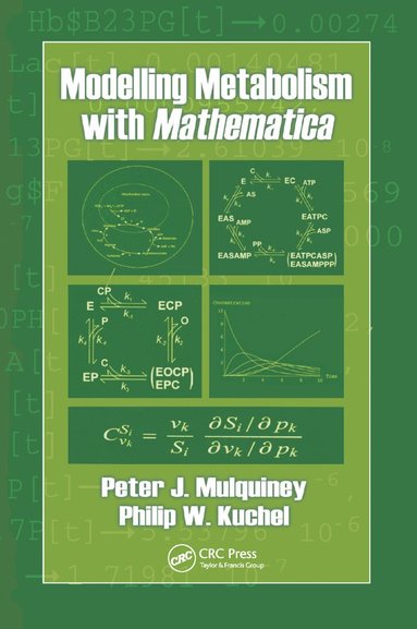 bokomslag Modelling Metabolism with Mathematica