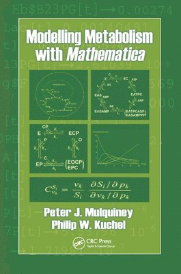 Modelling Metabolism with Mathematica 1