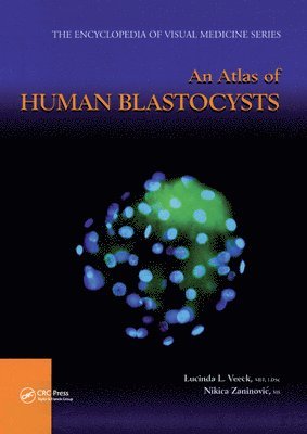 bokomslag An Atlas of Human Blastocysts