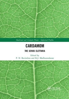 Cardamom 1