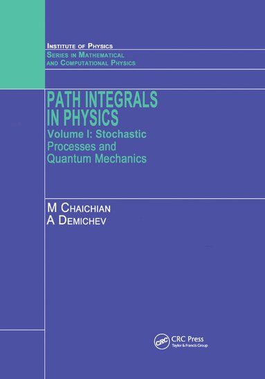 bokomslag Path Integrals in Physics