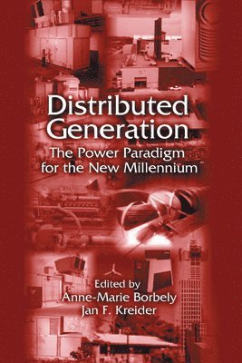 Anne-Marie Borbely, Jan F. Kreider - Distributed Generation, Häftad