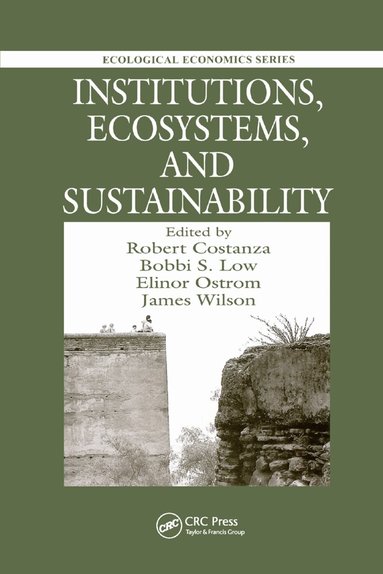 Robert Costanza, Bobbi Low, Elinor Ostrom, James Wilson - Institutions, Ecosystems, and Sustainability, Häftad