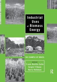 bokomslag Industrial Uses of Biomass Energy