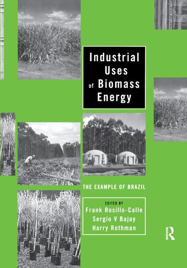 Frank Rosillo-Calle, Sergio V. Bajay, Harry Rothman - Industrial Uses of Biomass Energy, Häftad