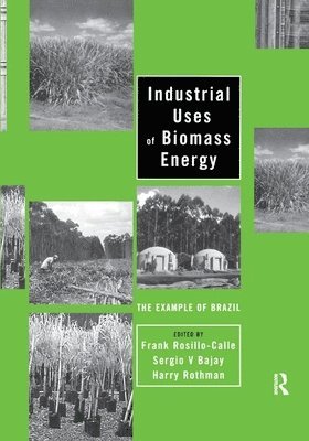 bokomslag Industrial Uses of Biomass Energy