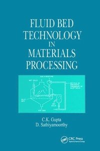 bokomslag Fluid Bed Technology in Materials Processing
