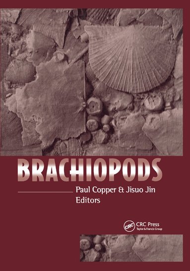 Paul Copper - Brachiopods, Häftad