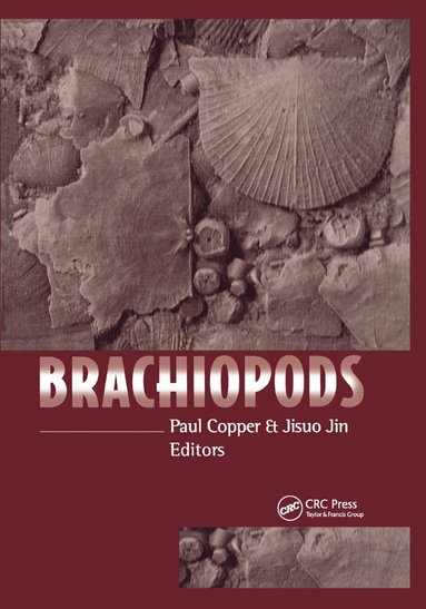 bokomslag Brachiopods