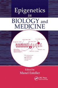 bokomslag Epigenetics in Biology and Medicine