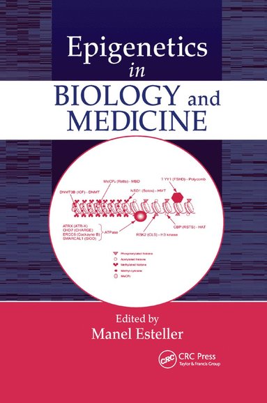 bokomslag Epigenetics in Biology and Medicine