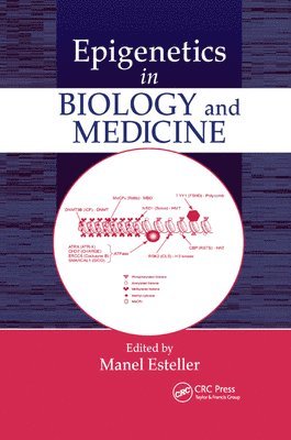 Epigenetics in Biology and Medicine 1